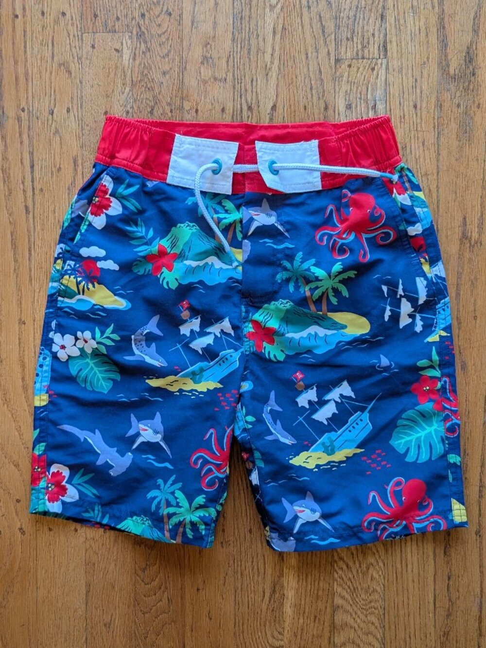 Mini Boden Swim Trunks